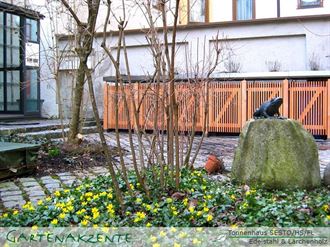 Mülltonnenbox Sesto Holz senkrecht